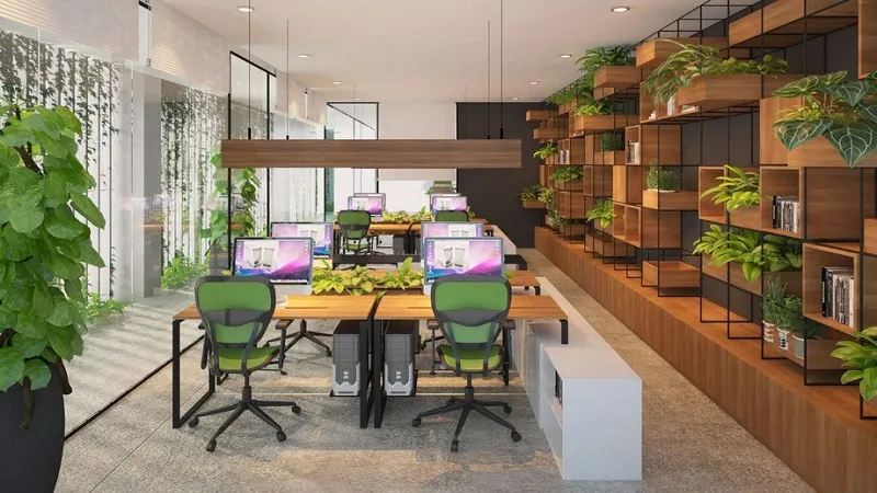 Phong thủy cho StartUp - Không gian StartUp trẻ trung sẽ thêm sức sống khi có sự hiện diện của cây xanh