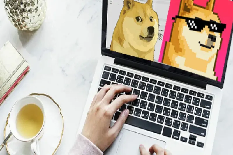Cách tạo ảnh Meme cho StartUp để hút khách hàng mới