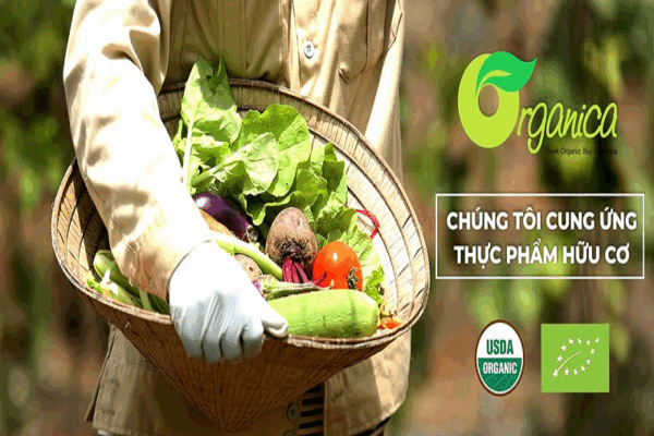 Khởi nghiệp thành công từ nông sản hữu cơ