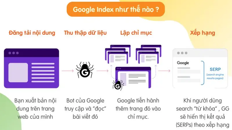 Kiến thức cơ bản về SEO dành cho startUp - Cách google index