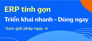 ERP tinh gọn dành cho doanh nghiệp Việt